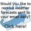 Email Forecast Button